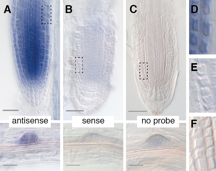 Figure2