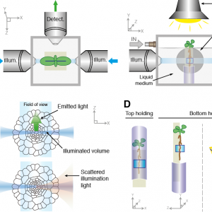 Review Figure 1